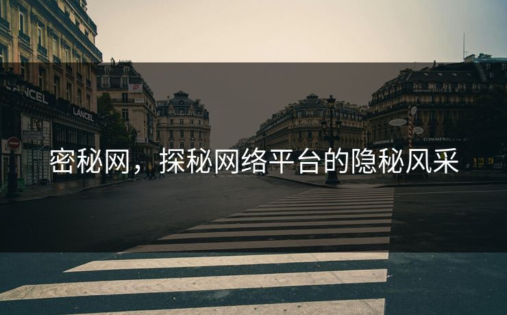 密秘网,探秘网络平台的隐秘风采 密秘网,探秘网络平台的隐秘风采