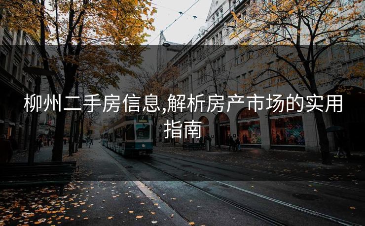 柳州二手房信息,解析房产市场的实用指南