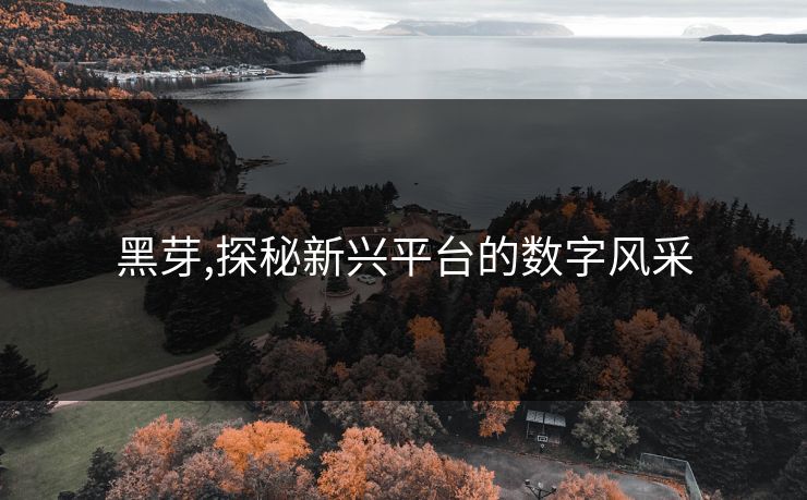 黑芽,探秘新兴平台的数字风采 黑芽,探秘新兴平台的数字风采