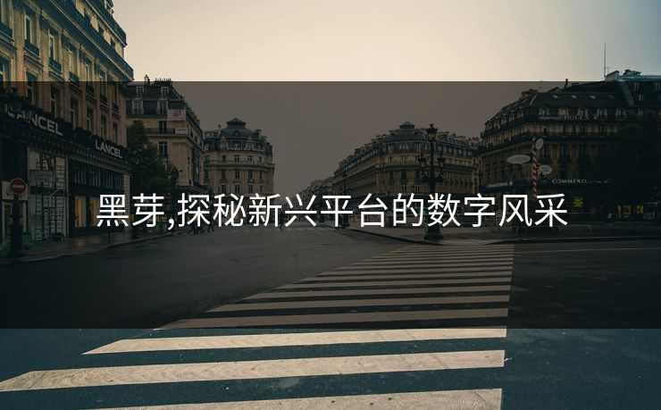 黑芽,探秘新兴平台的数字风采 黑芽,探秘新兴平台的数字风采