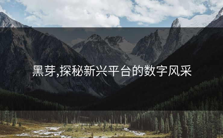 黑芽,探秘新兴平台的数字风采