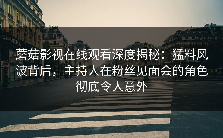 蘑菇影视在线观看深度揭秘：猛料风波背后，主持人在粉丝见面会的角色彻底令人意外