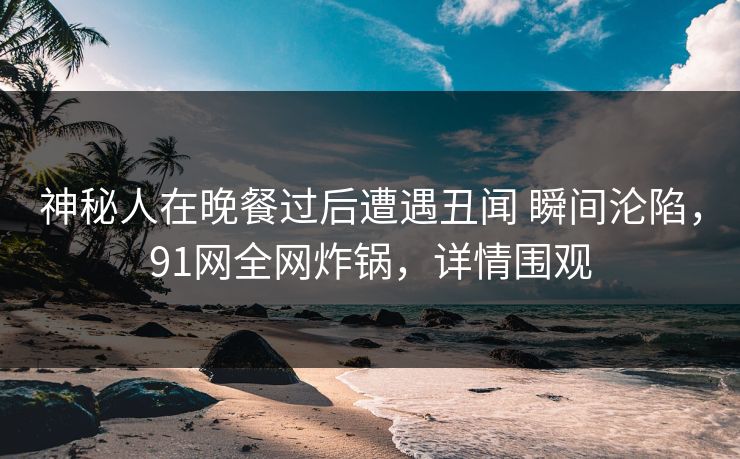 神秘人在晚餐过后遭遇丑闻 瞬间沦陷，91网全网炸锅，详情围观