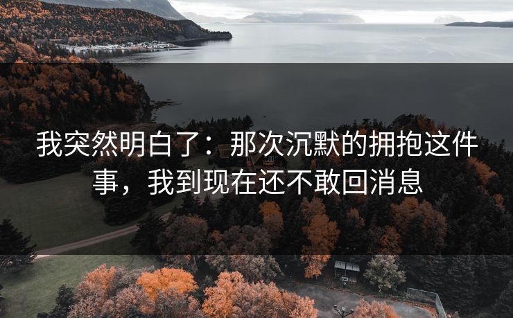 我突然明白了：那次沉默的拥抱这件事，我到现在还不敢回消息