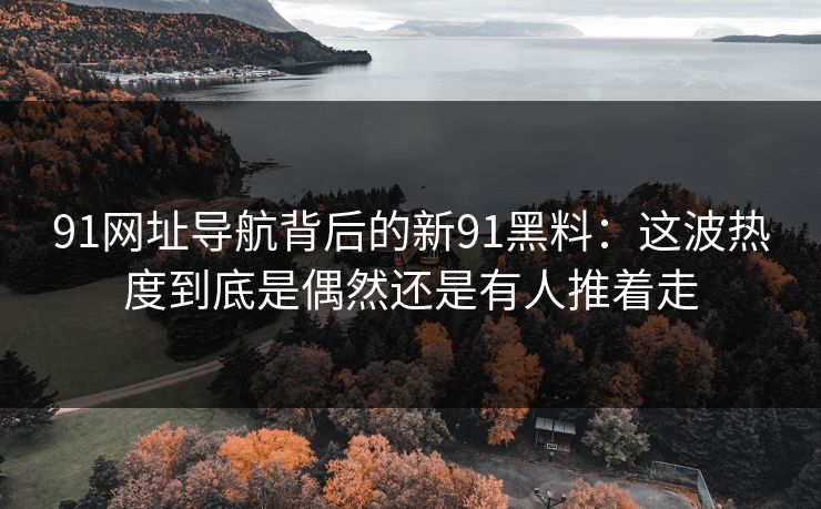 91网址导航背后的新91黑料:这波热度到底是偶然还是有人推着走 91网址导航背后的新91黑料:这波热度到底是偶然还是有人推着走